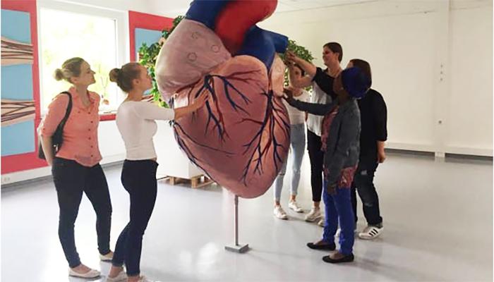 ZFA-Auszubildende lernen im next:classroom am großen Herzmodell.